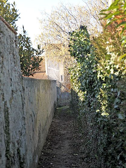 dossier collectif sur les cours communes du Faubourg Saint-Nicolas