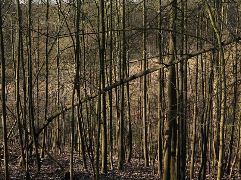 regard photographique sur les paysages de la Plaine de France.