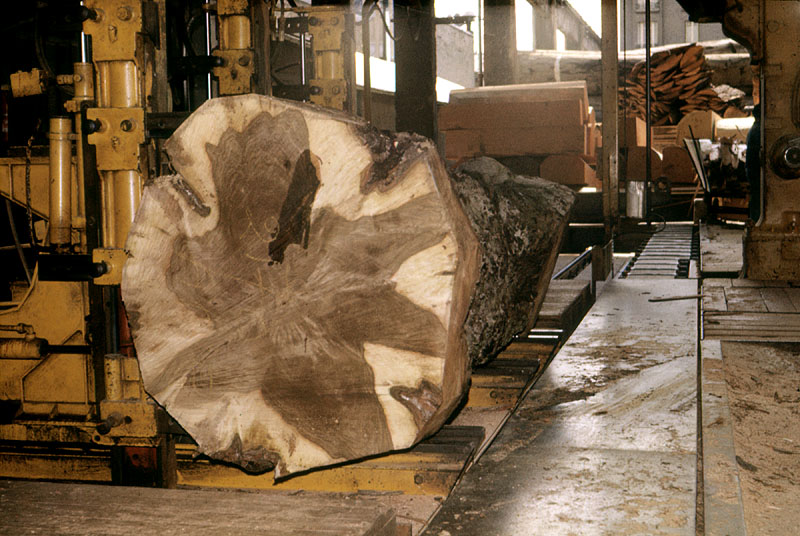 Scierie Cavillet, puis usine de bois de placage Société parisienne de bois tranché et déroulé, puis Société parisienne de tranchage et déroulage, puis société Maréchaux, puis entrepôt commercial (détruit après inventaire)