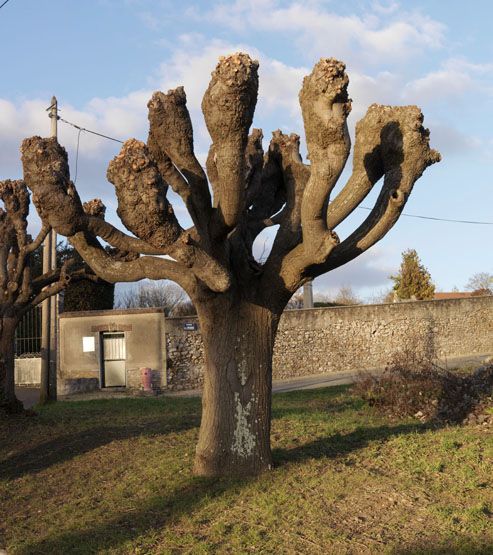 regard photographique sur le territoire de Seine-Aval