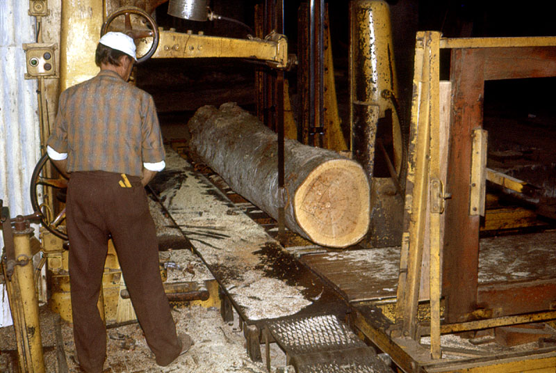 Scierie Cavillet, puis usine de bois de placage Société parisienne de bois tranché et déroulé, puis Société parisienne de tranchage et déroulage, puis société Maréchaux, puis entrepôt commercial (détruit après inventaire)