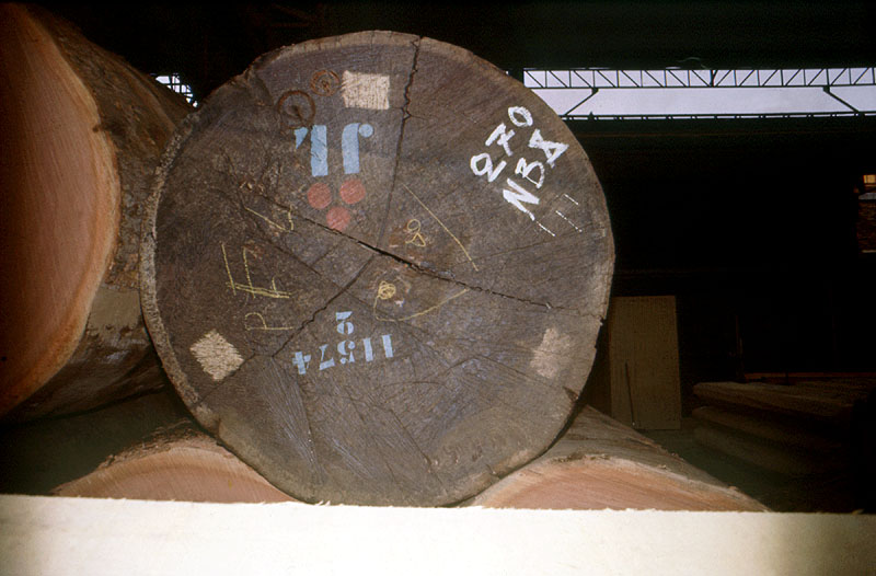 Scierie Cavillet, puis usine de bois de placage Société parisienne de bois tranché et déroulé, puis Société parisienne de tranchage et déroulage, puis société Maréchaux, puis entrepôt commercial (détruit après inventaire)