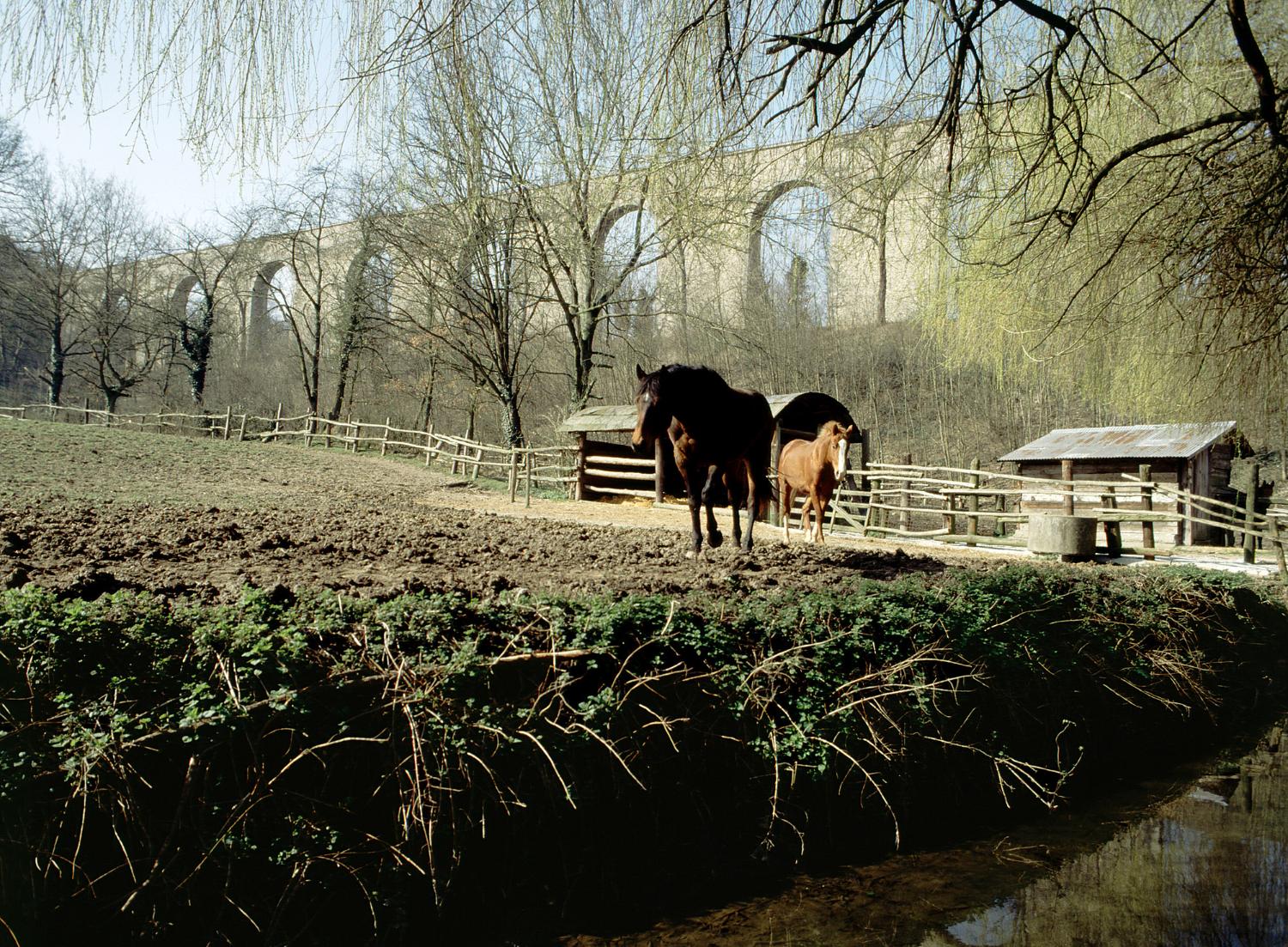 moulin à farine actuellement haras de Vauptain