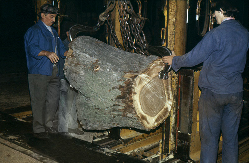 Scierie Cavillet, puis usine de bois de placage Société parisienne de bois tranché et déroulé, puis Société parisienne de tranchage et déroulage, puis société Maréchaux, puis entrepôt commercial (détruit après inventaire)