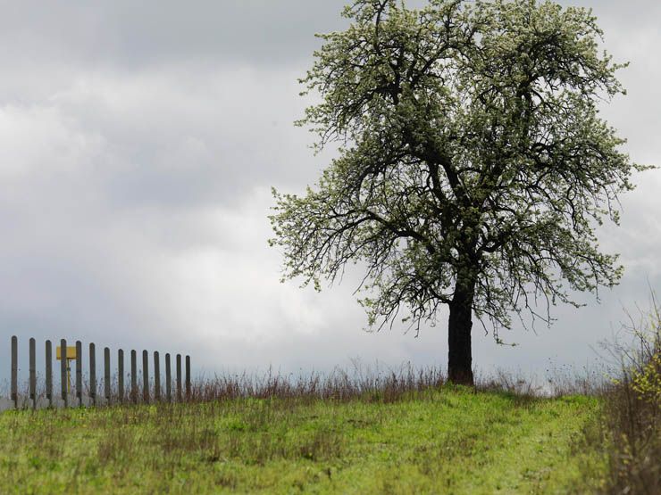 Regard photographique sur les paysages de Centre-Essonne.