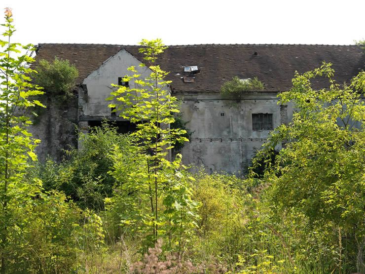 l'habitat collectif de l'OIN ORSA (Opération d'intérêt national Orly-Rungis-Seine-Amont)