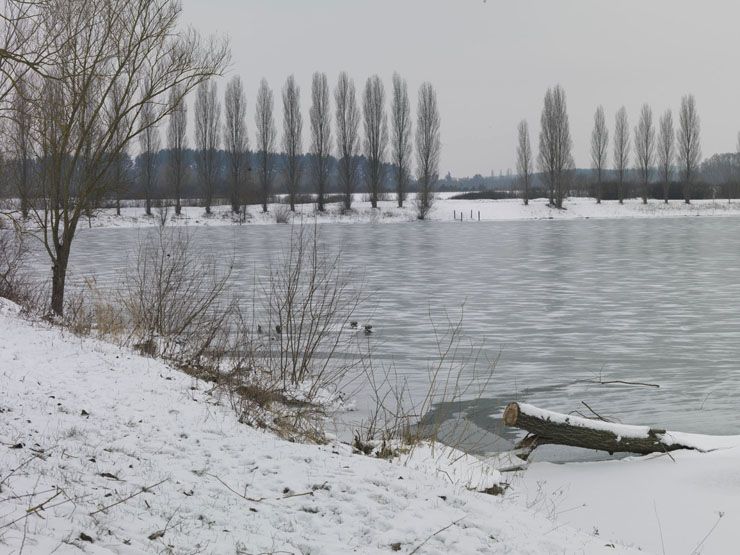 regard photographique sur le territoire de Seine-Aval