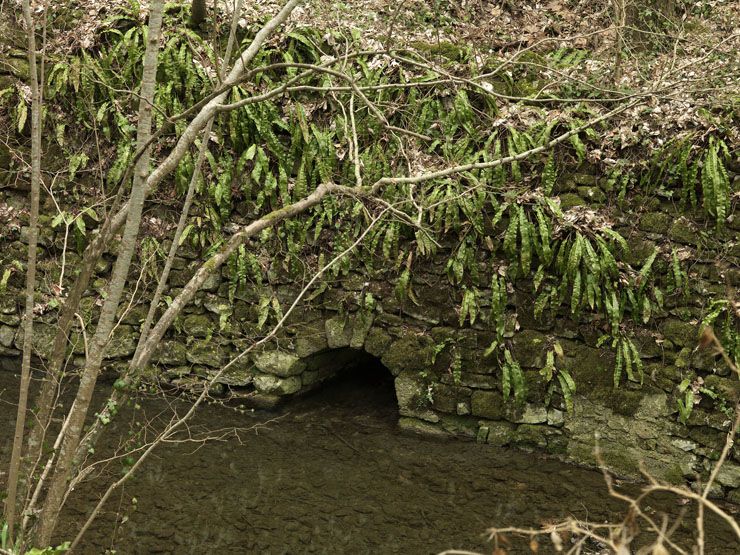 Fontaine-le-Port - moulin à farine de Barbeau, puis centrale hydroélectrique