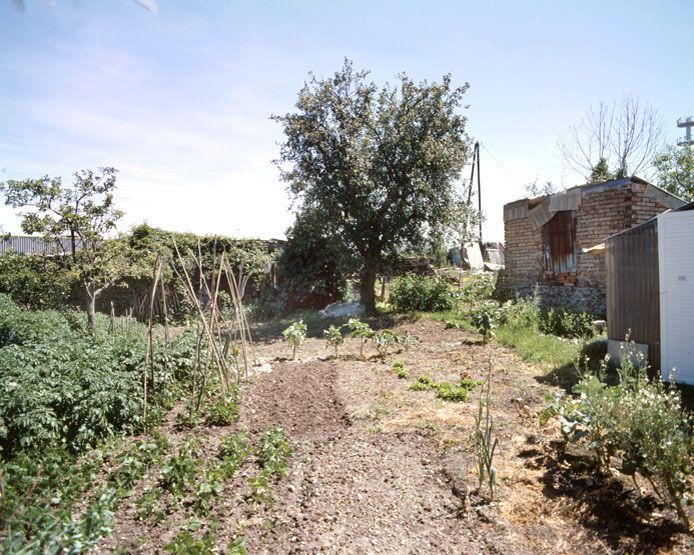 présentation de la commune de Champigny-sur-Marne