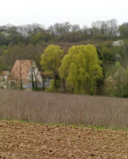 Regard photographique sur les paysages de Centre-Essonne.