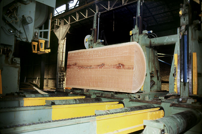 Scierie Cavillet, puis usine de bois de placage Société parisienne de bois tranché et déroulé, puis Société parisienne de tranchage et déroulage, puis société Maréchaux, puis entrepôt commercial (détruit après inventaire)