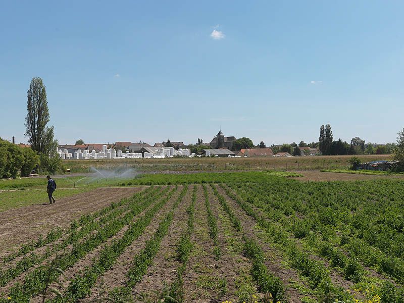 regard photographique sur les paysages de la Plaine de France.