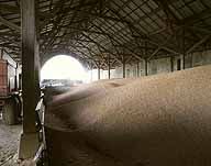 Vue intérieure de la charreterie qui sert aujourd'hui à stocker le blé.