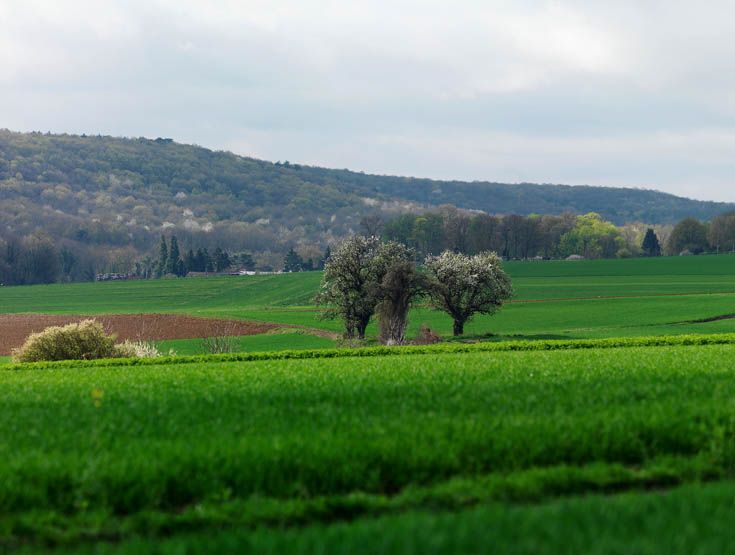 Regard photographique sur les paysages de Centre-Essonne.