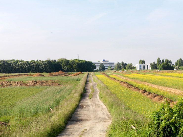 regard photographique sur les paysages de l'OIN de Paris-Saclay