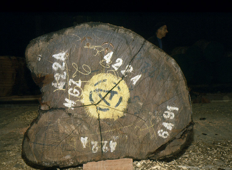 Scierie Cavillet, puis usine de bois de placage Société parisienne de bois tranché et déroulé, puis Société parisienne de tranchage et déroulage, puis société Maréchaux, puis entrepôt commercial (détruit après inventaire)